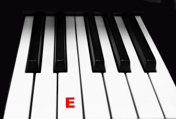 Piano Keytop Glossy White 1-15/16" Short Head - Individual Replacement Key