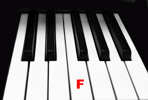 Piano Keytop Glossy White 1-15/16" Short Head - Individual Replacement Key