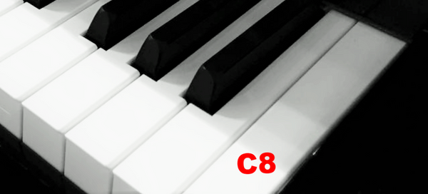 Piano Keytop Glossy White 2" Long Head - Individual Replacement Key