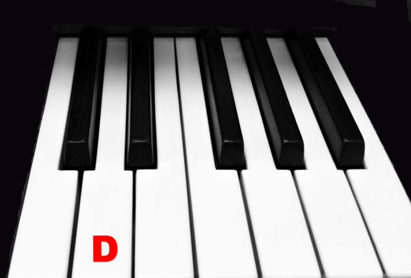 Piano Keytop Glossy White 2" Long Head - Individual Replacement Key