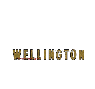 Wellington Piano Fallboard Decal